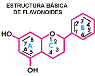 FLAVONOIDES